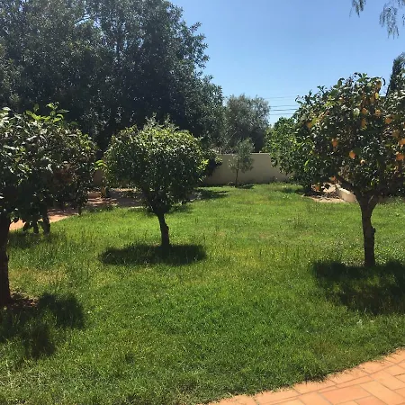 Casa Da Estrela Lägenhet