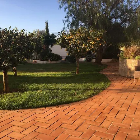 Casa Da Estrela Lägenhet