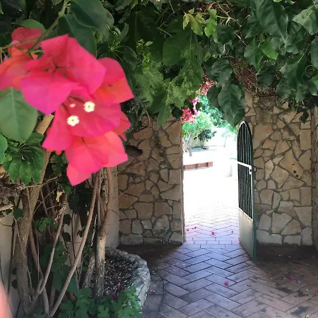 Casa Da Estrela Lägenhet São Bartolomeu de Messines